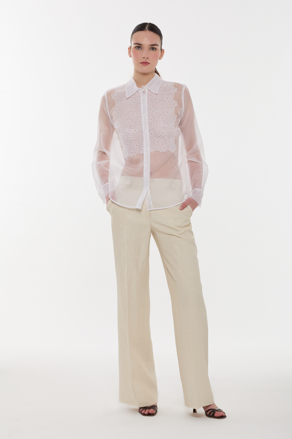 SHAKED381286_001_S26