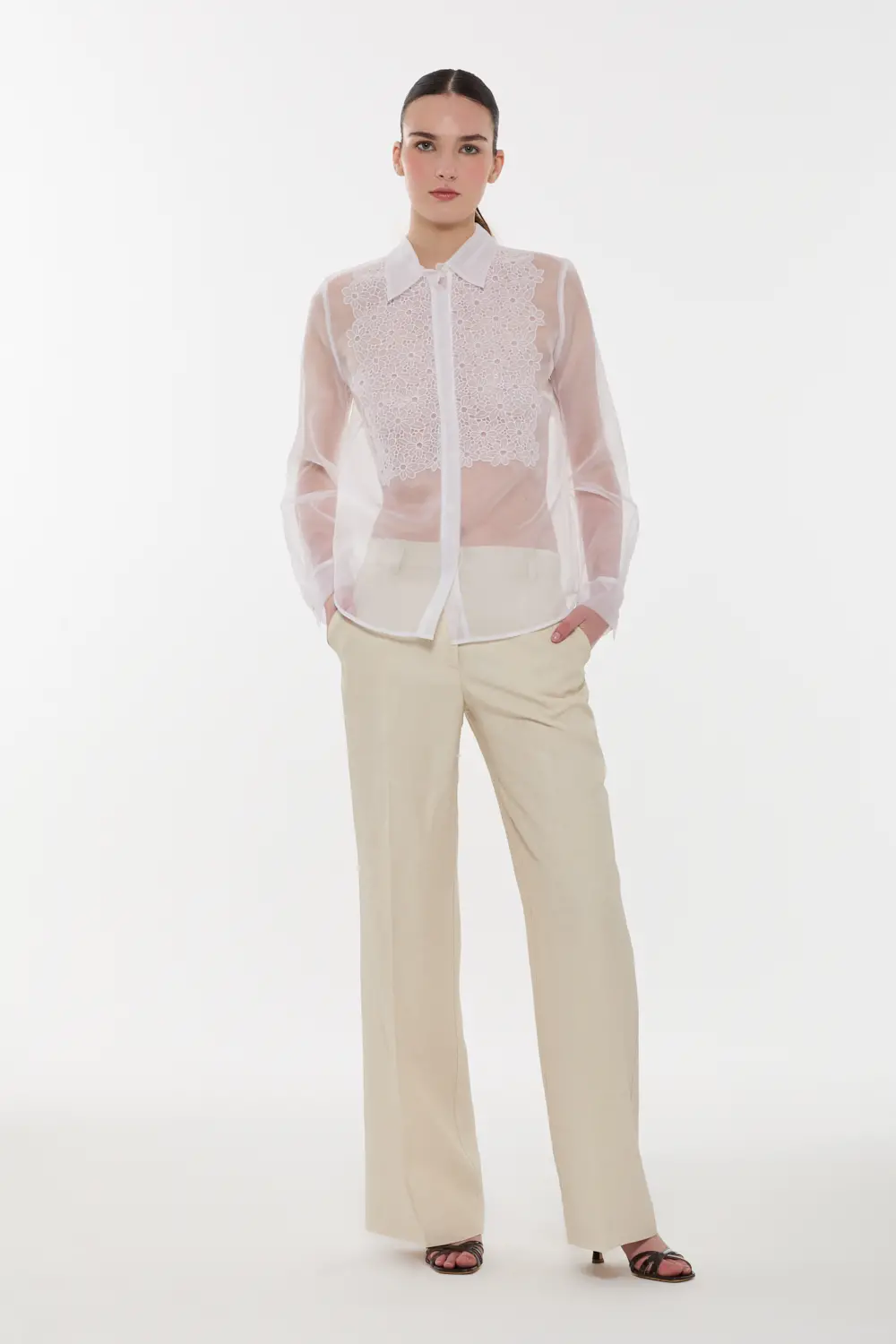 SHAKED381286_001_S26