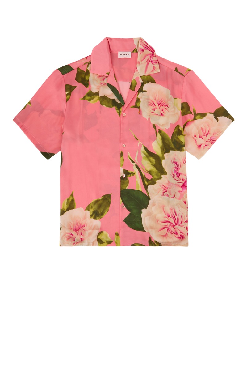 PANGOD381023_827_S22