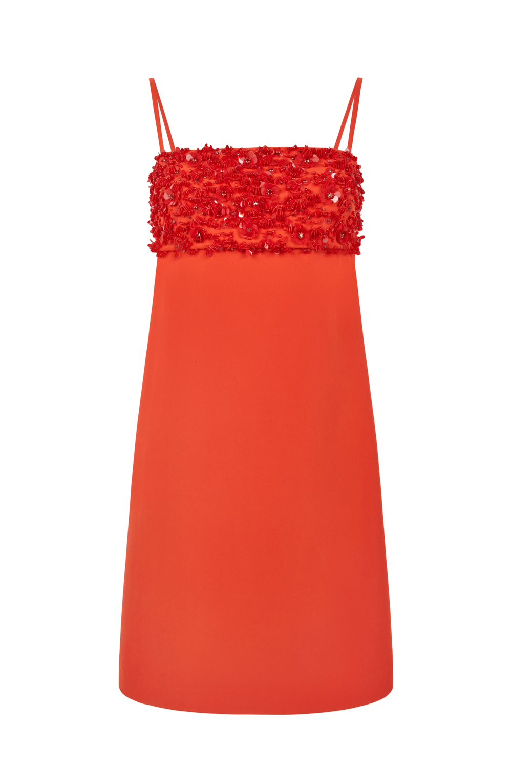 PUPPYD721922_019_S24