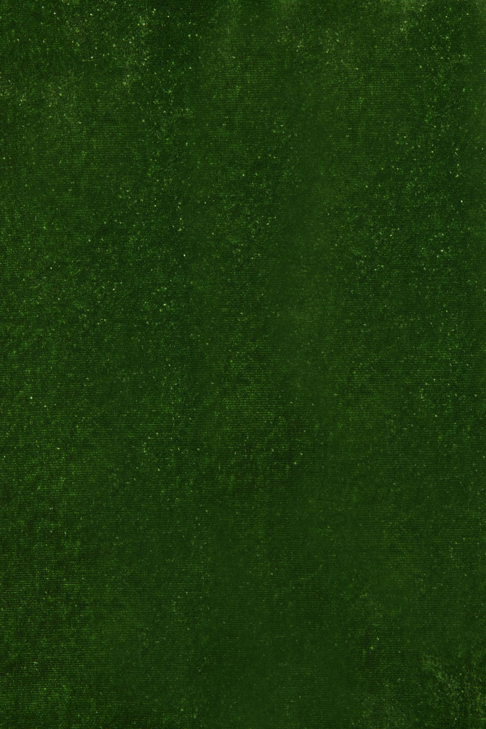 RAVELD420487_005_A26,alt-0