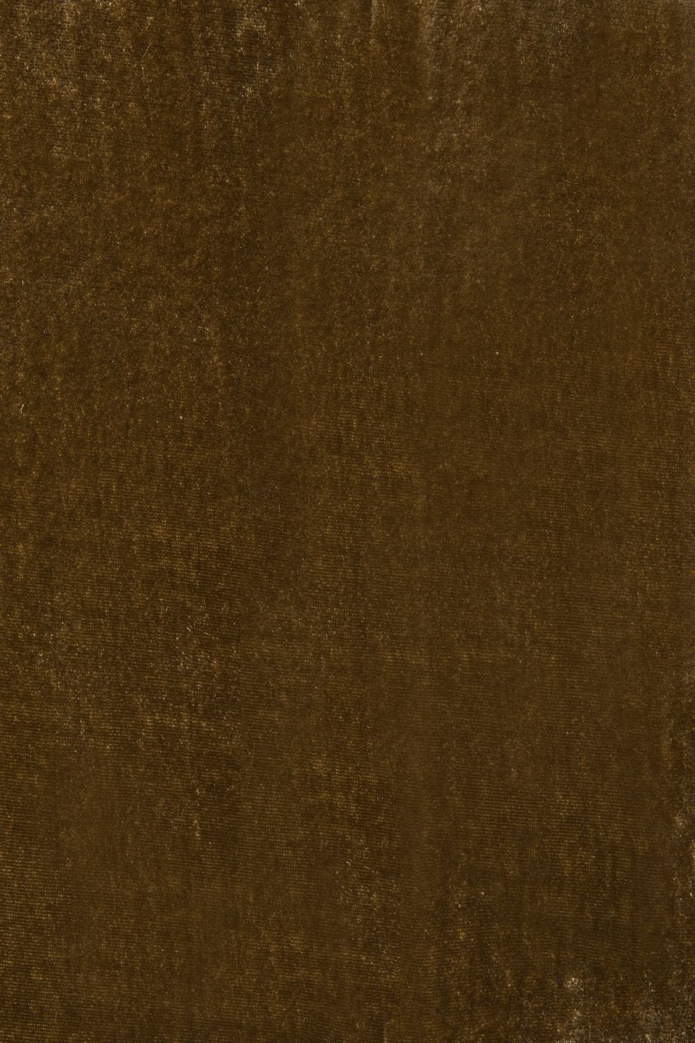 RAVELD420487_064_A26,alt-1
